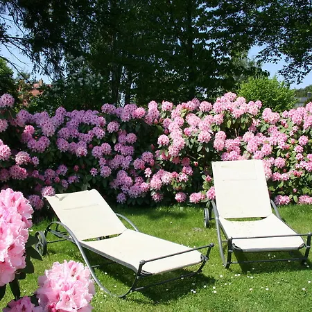 Appartement Edelweiss *