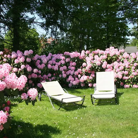 Appartement Edelweiss *