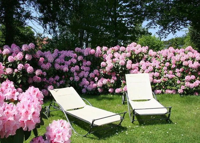 Appartement Edelweiss *