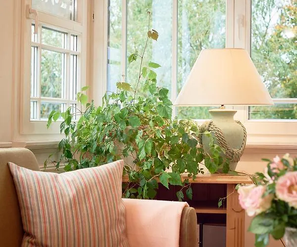 Edelweiss Appartement